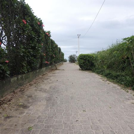 Lindo Apartamento 500M Da Praia Ingleses Norte Florianópolis Extérieur photo